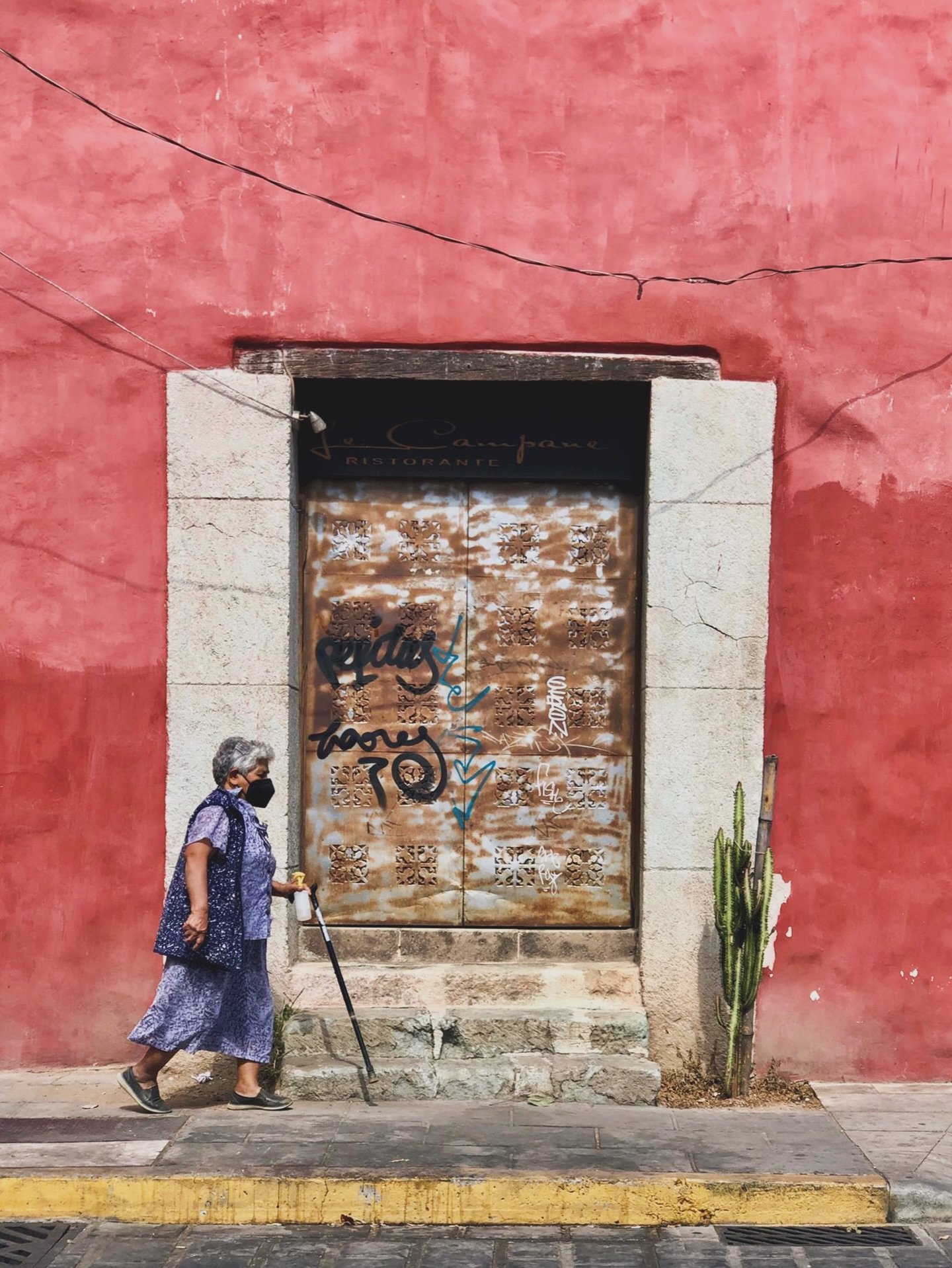 Live in color // Oaxaca, Mexico