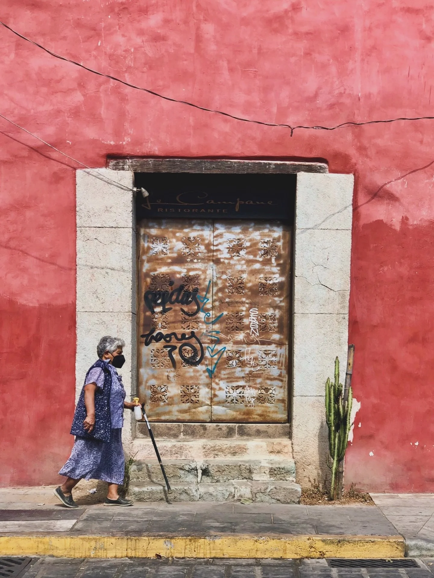 Live in color // Oaxaca, Mexico
