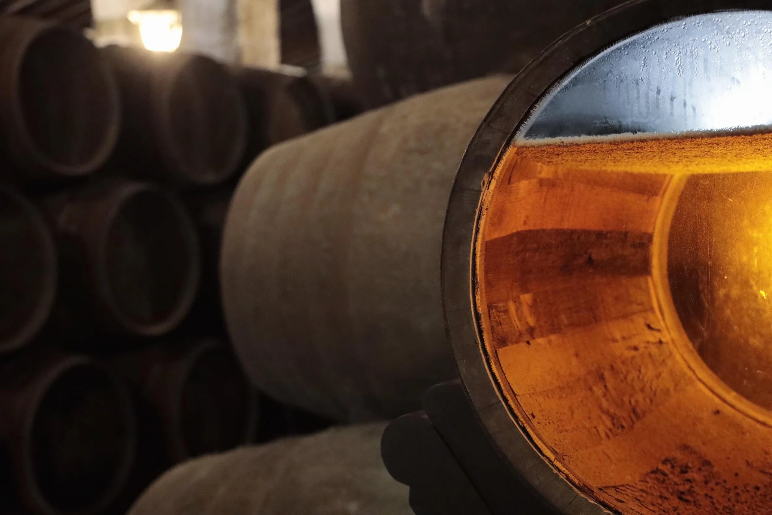 Exploring the world of Sherry @bodegaslustau 

Discover the secrets behind every bottle. From the grand architecture of the wine cathedrals and the unique science of the living yeast known as flor, to the historic solera blending system.

Whether you