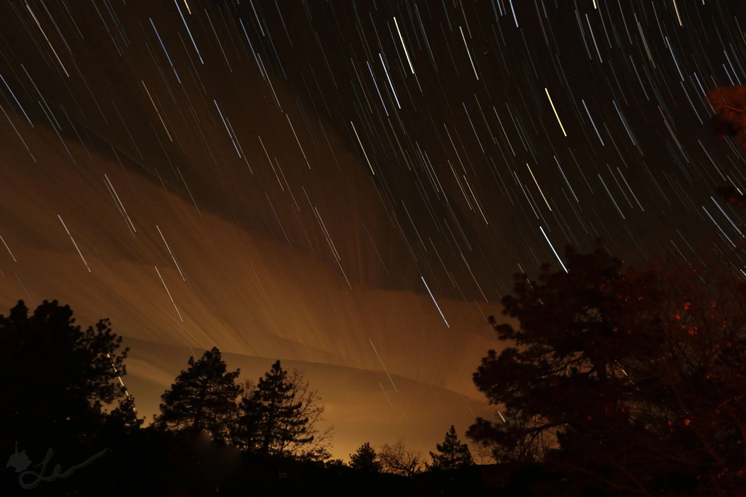 Laguna Mountain Star Trail Print