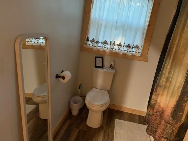 A small bathroom with a toilet, a floor-standing mirror, a window with curtains, a framed picture, a small trash can, a toilet paper holder, and a partial view of a shower curtain.