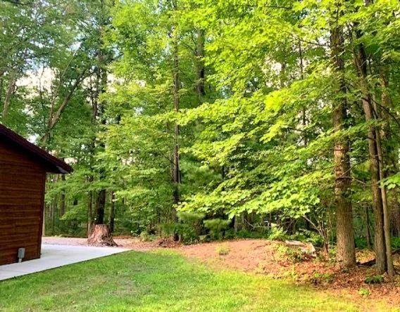 A backyard scene with green grass, a wooded area with tall trees, and a small wooden shed on a concrete slab.