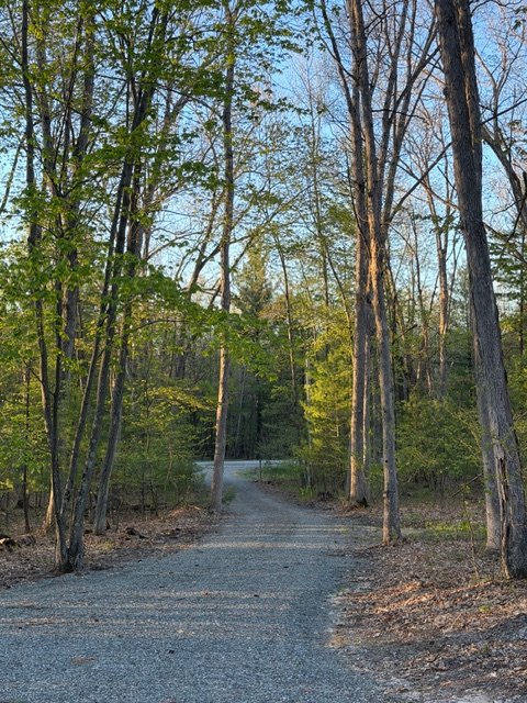 Rental Driveway.jpeg
