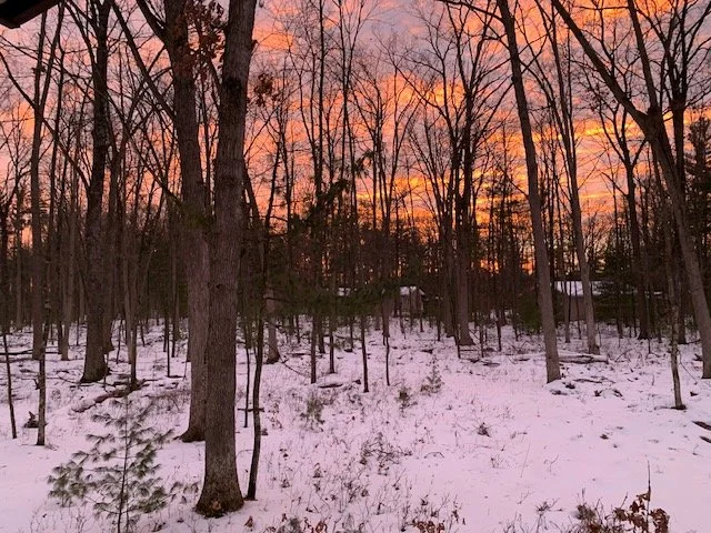 Snow-covered forest with leafless trees at sunset, with orange and pink sky.