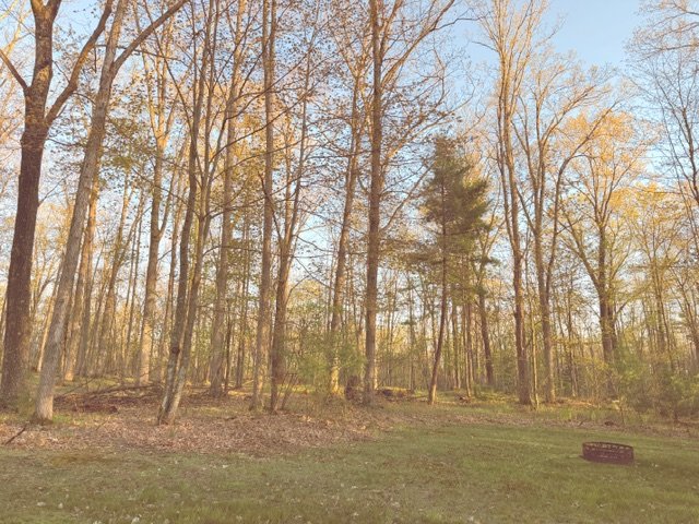 Updated Backyard.jpeg