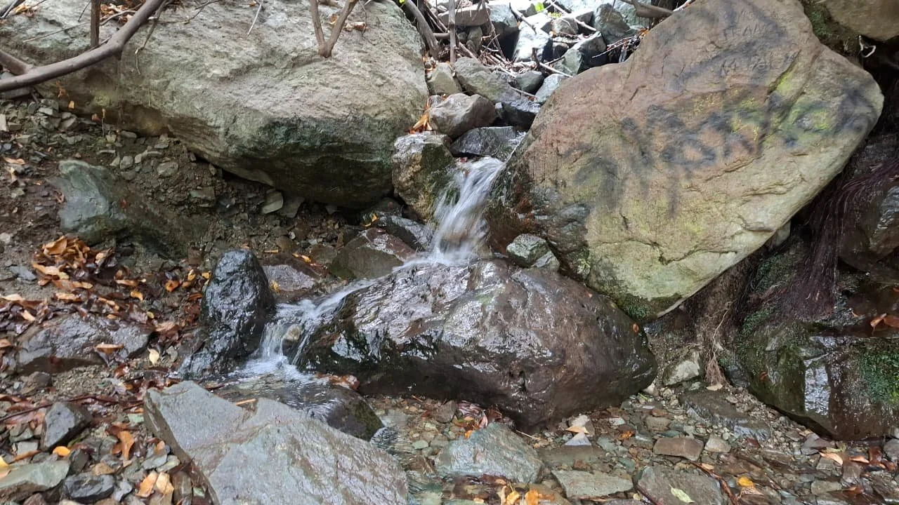 Río pequeño con agua fluyendo entre rocas y hojas secas en un entorno natural.