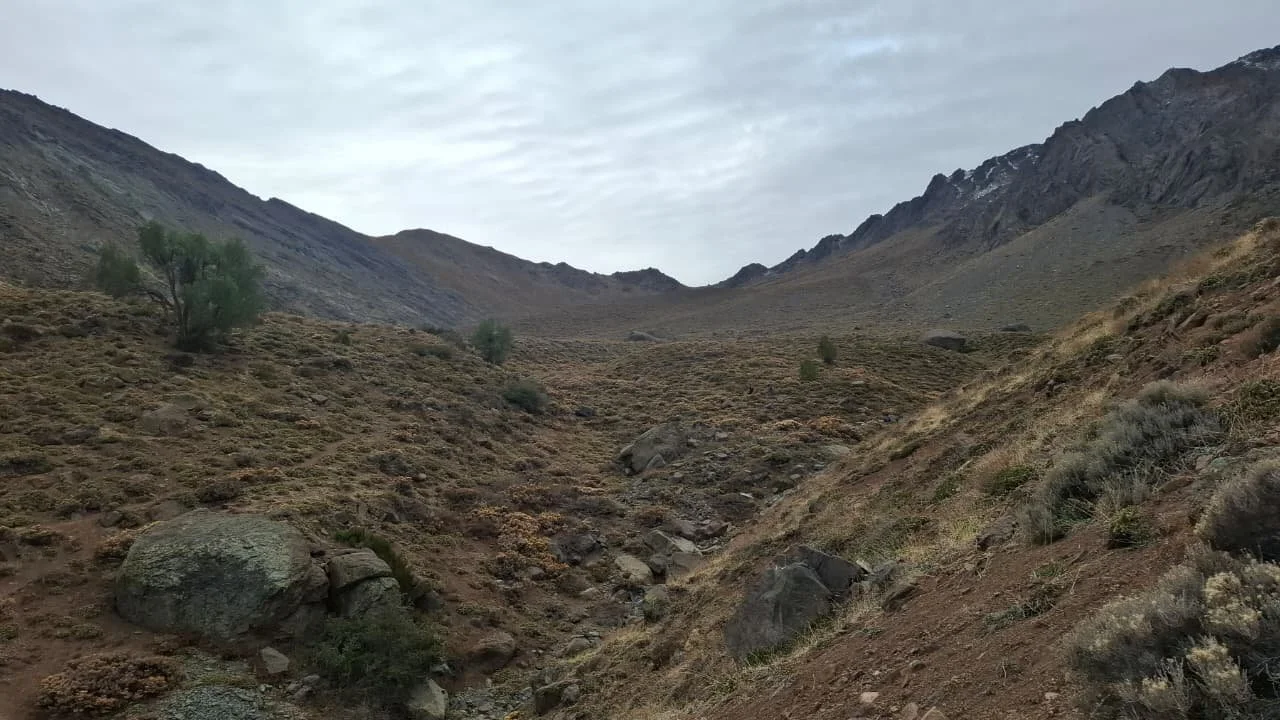 Paisaje árido con montañas y pequeñas plantas dispersas, cielo nublado.