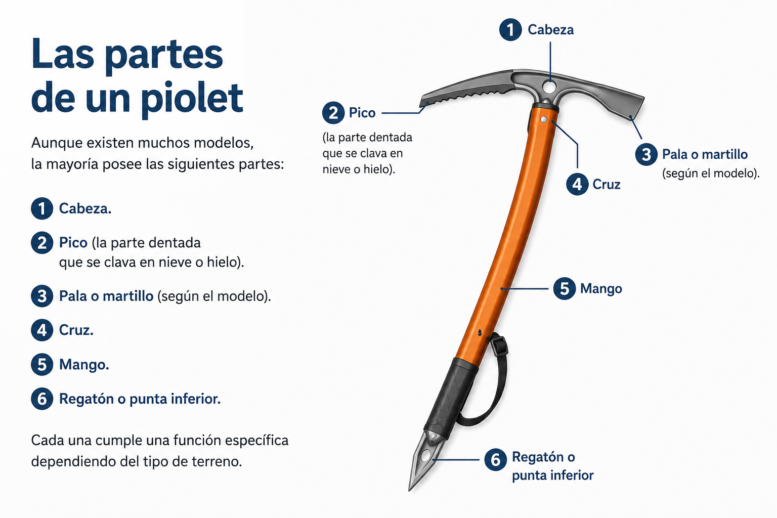 Diagrama explicativo de las partes de un piolet, incluyendo cabezal, pico, pala o martillo, cruz, mango y regatón o punta inferior.