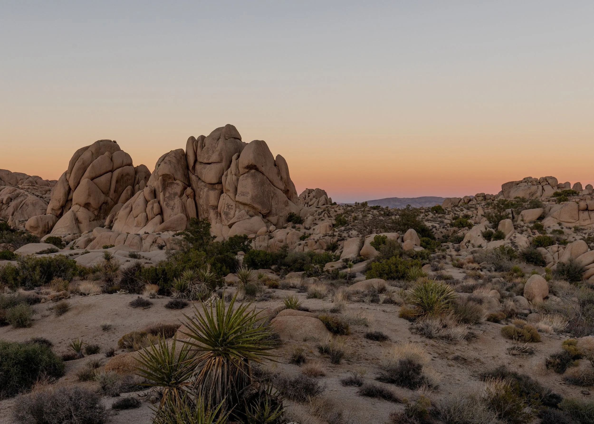 Desert landscape with large rock formations and sparse vegetation at sunset.