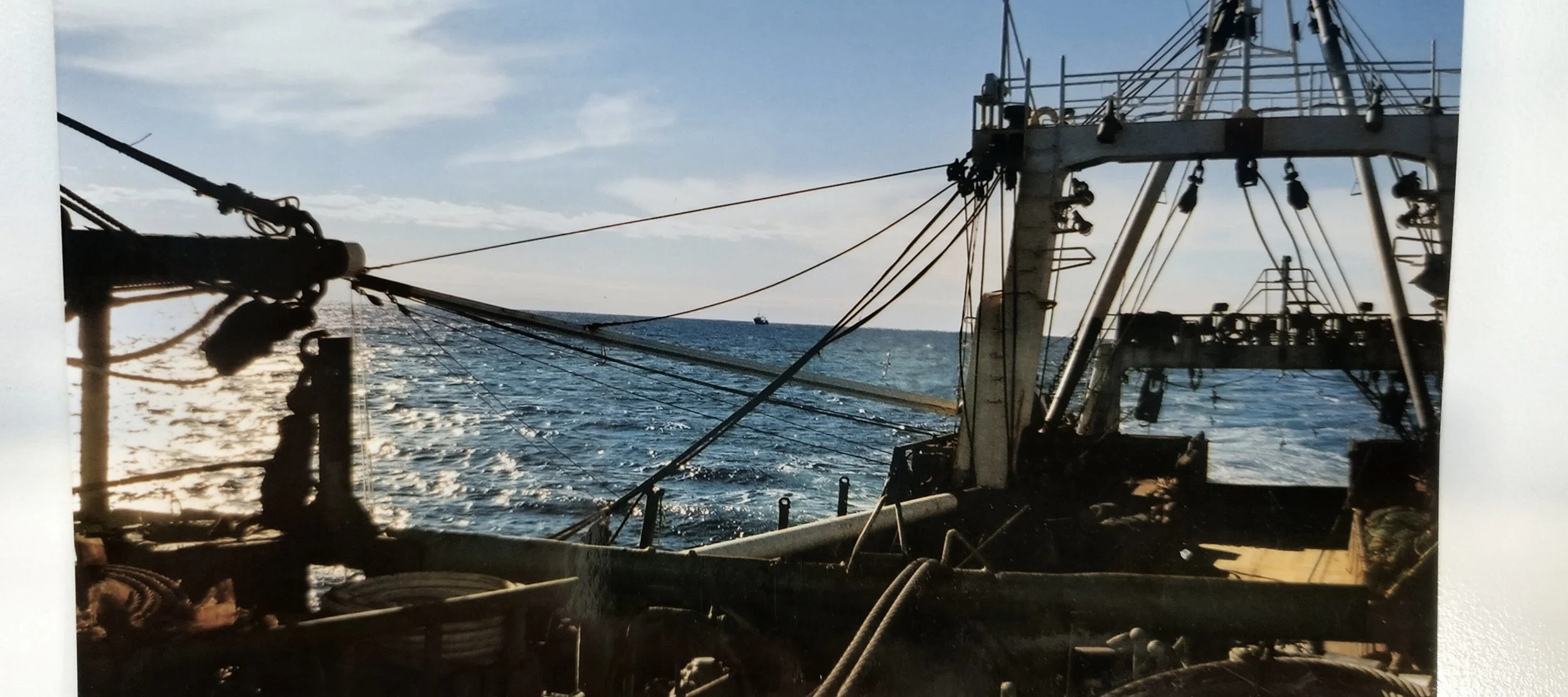 What are Fisheries Observers?