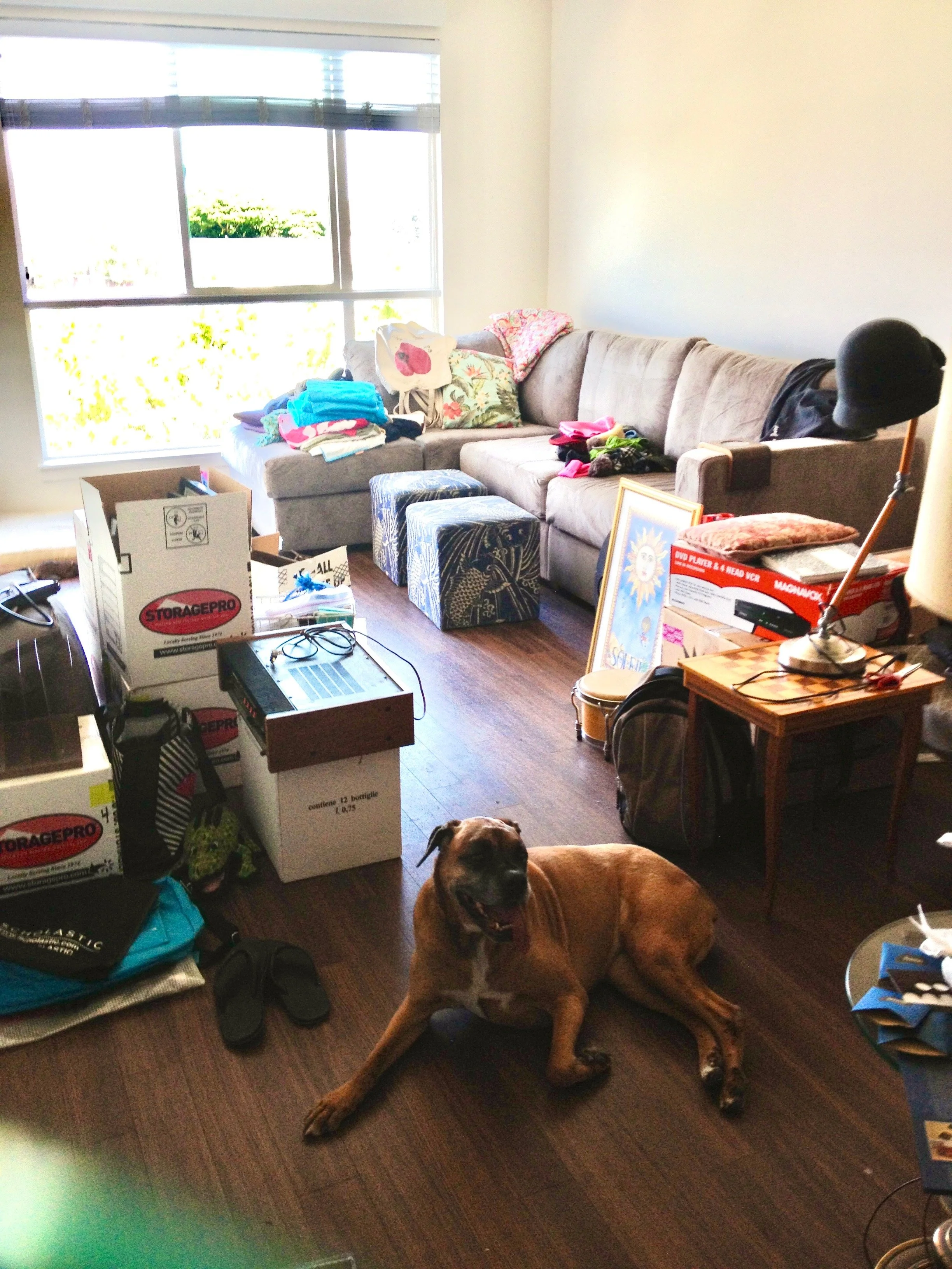 What No One Told Me About Moving to Portland