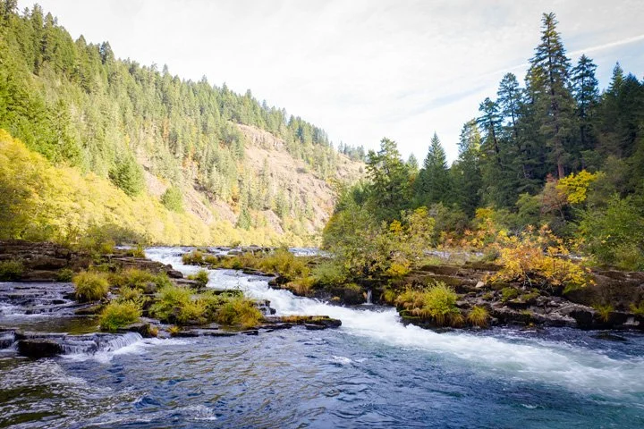 A river flowing through a forested canyon with green trees and rocky banks.