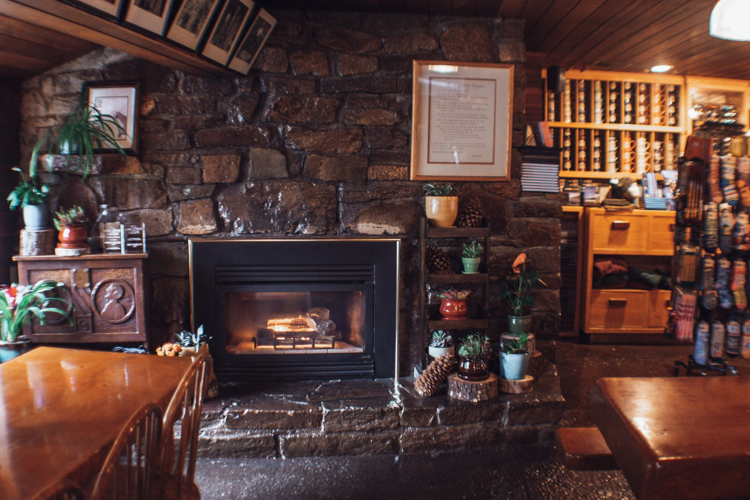 Interior of a cozy room with a stone fireplace, surrounded by potted plants, wooden furniture, and shelves filled with books and decorative items.
