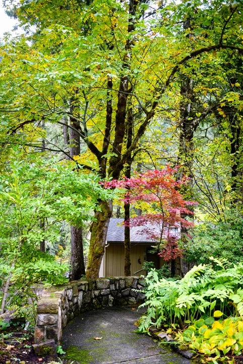 A small stone pathway leading to a wooden shed or small building, surrounded by lush green foliage, trees with green and red leaves, and a stone wall on the left side.