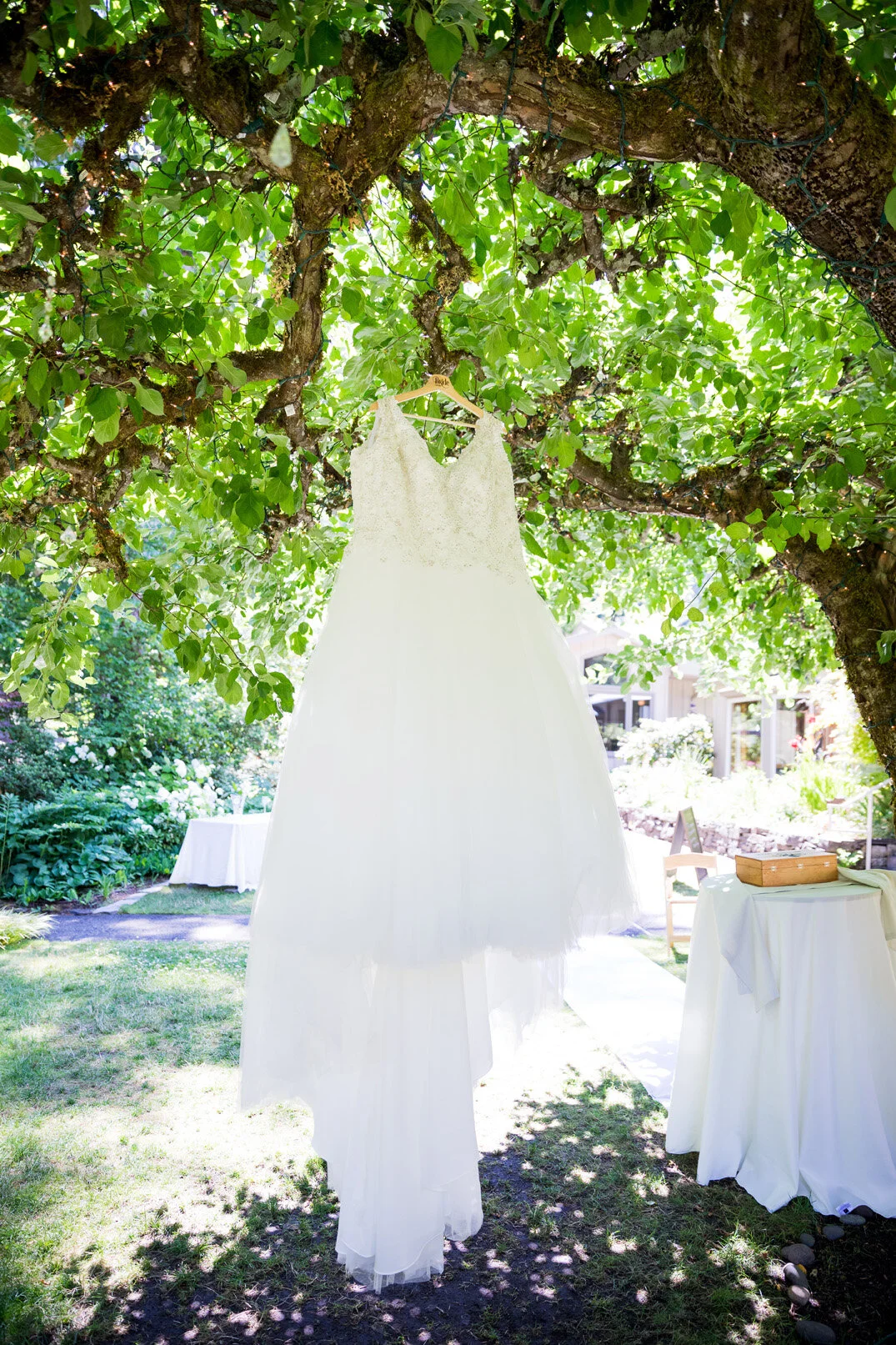 A white wedding dress hanging from a tree branch outdoors in a garden, with tables covered in white cloth nearby and greenery in the background.