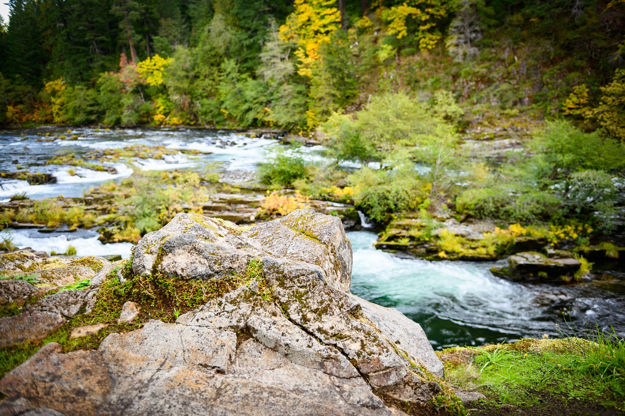 A river flowing through a forested area with rocks and trees in fall colors.