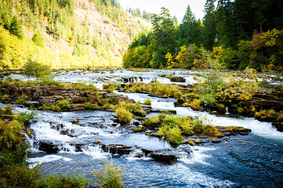 A river flowing through a green forested landscape with rocks and small waterfalls, surrounded by trees and hills in the background.
