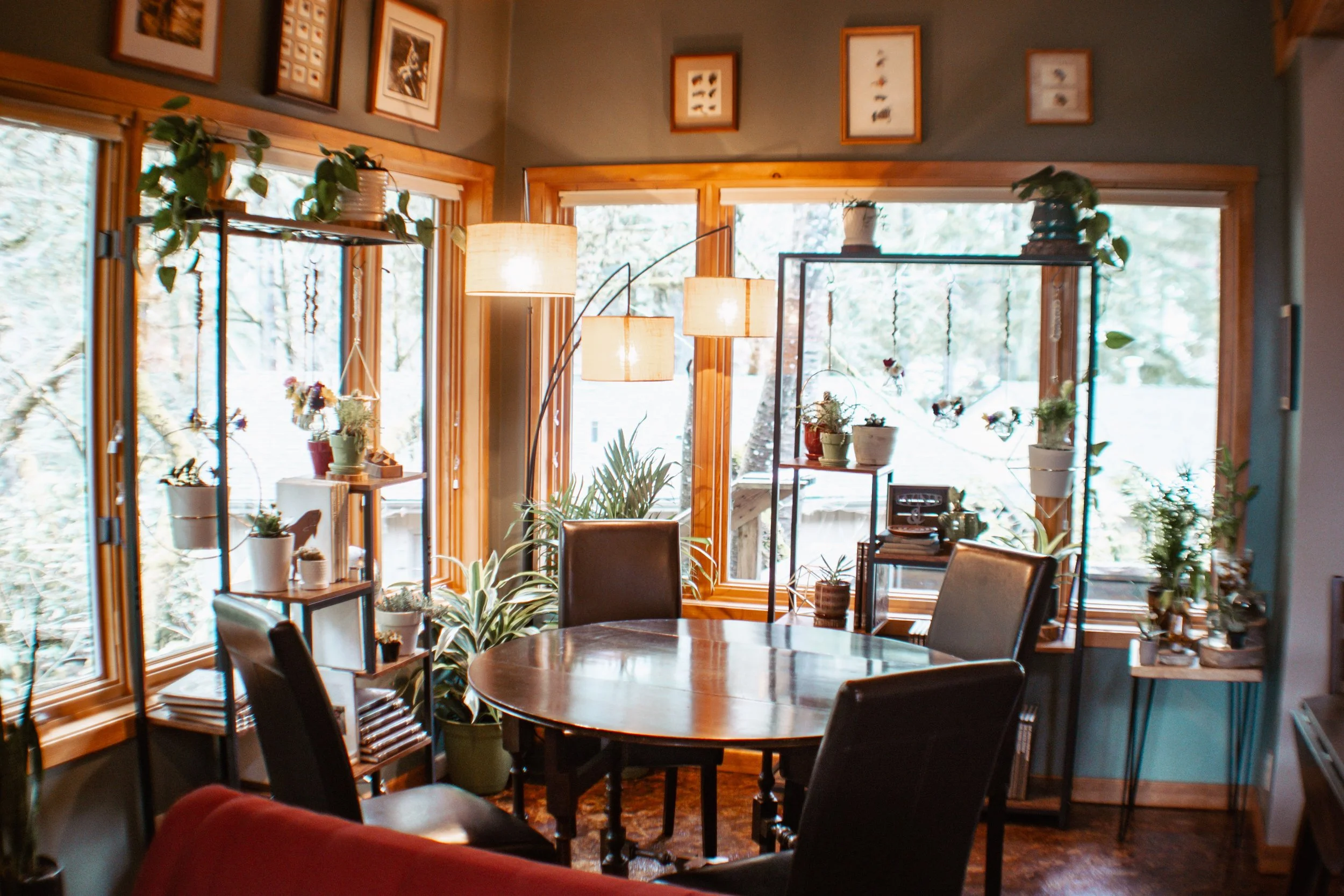 Bright dining room with large windows, wooden frames, and numerous potted plants on shelves, table, and windowsills, with a wooden round table and four dark chairs.