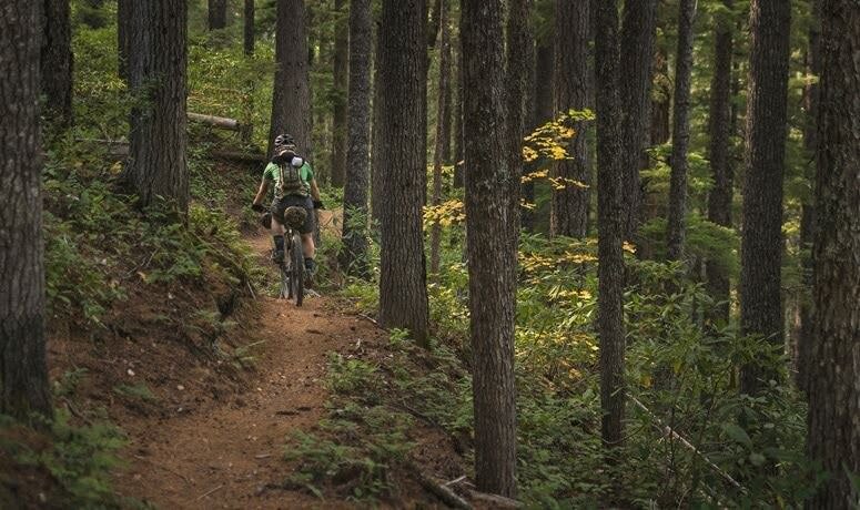 Photo Credit Gabriel Amadeus Tiller