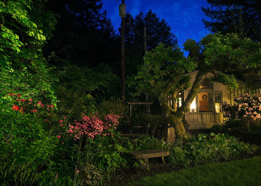 backyard-steamboat-inn2.jpg