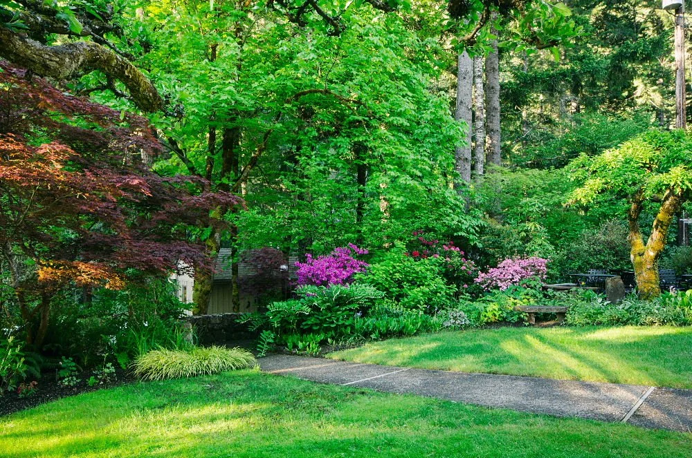 garden-steamboat-inn3.jpg