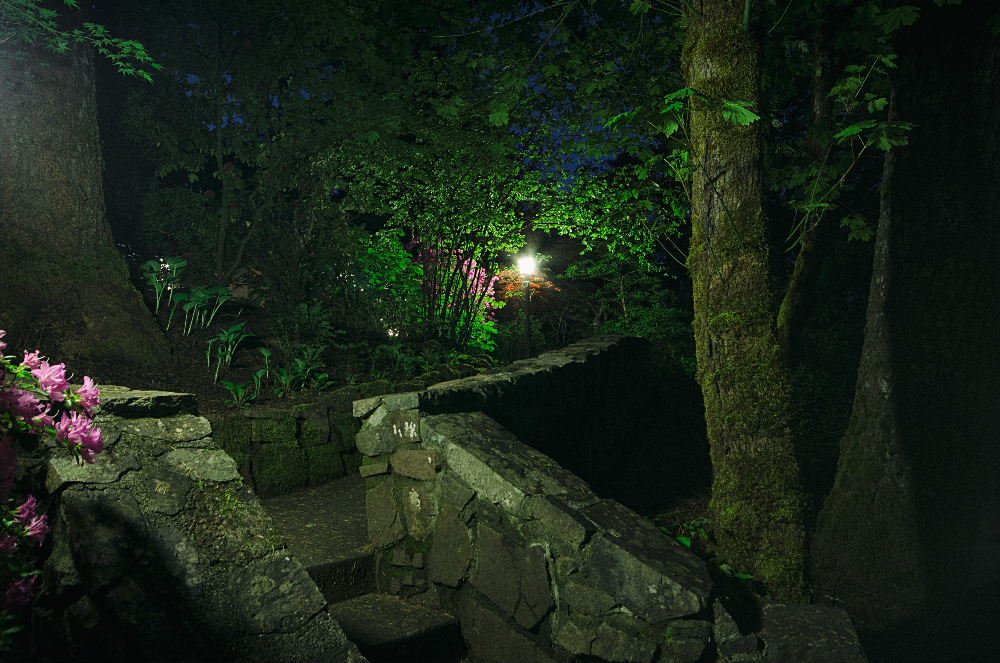 backyard-steamboat-inn1.jpg