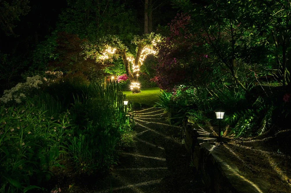 backyard-steamboat-inn3.jpg