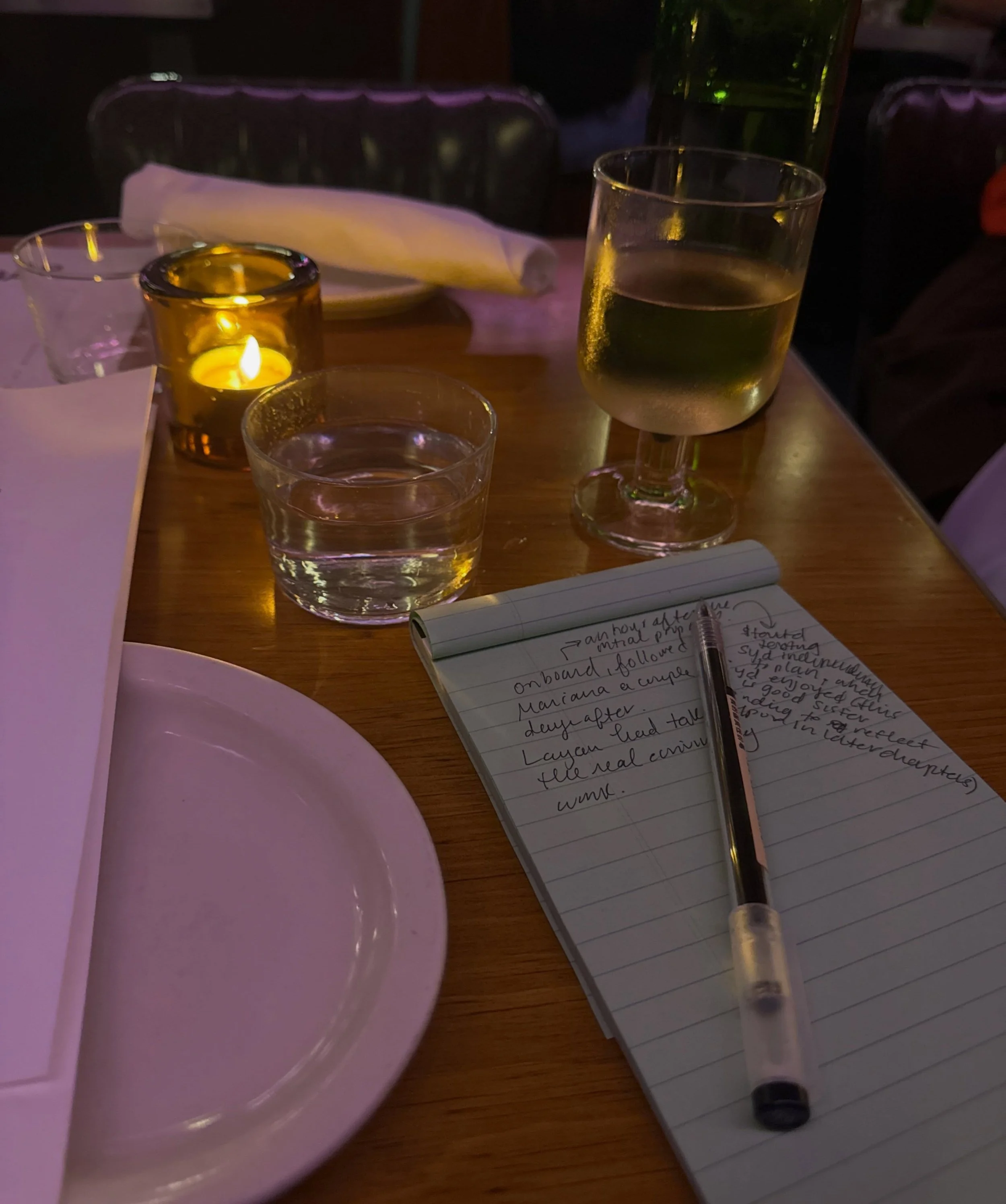 a little wine to cure the querying woes&hellip; meanwhile, onto the next novel!!