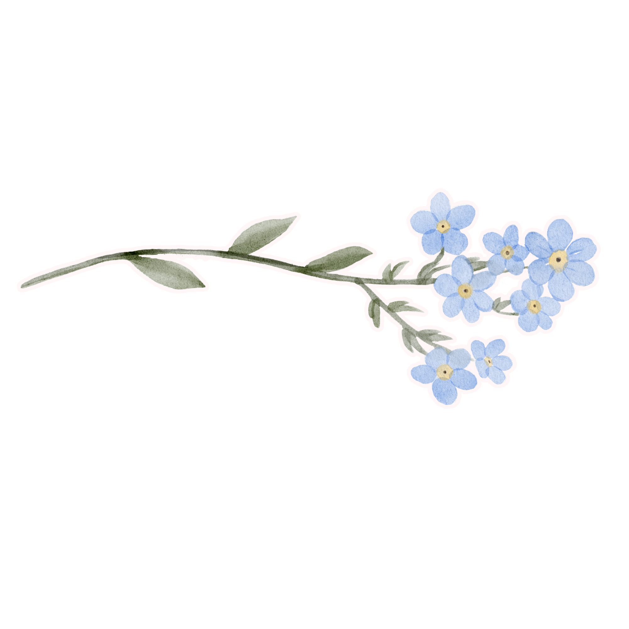 Watercolor illustration of a small bunch of blue forget-me-not flowers with green leaves and stems.