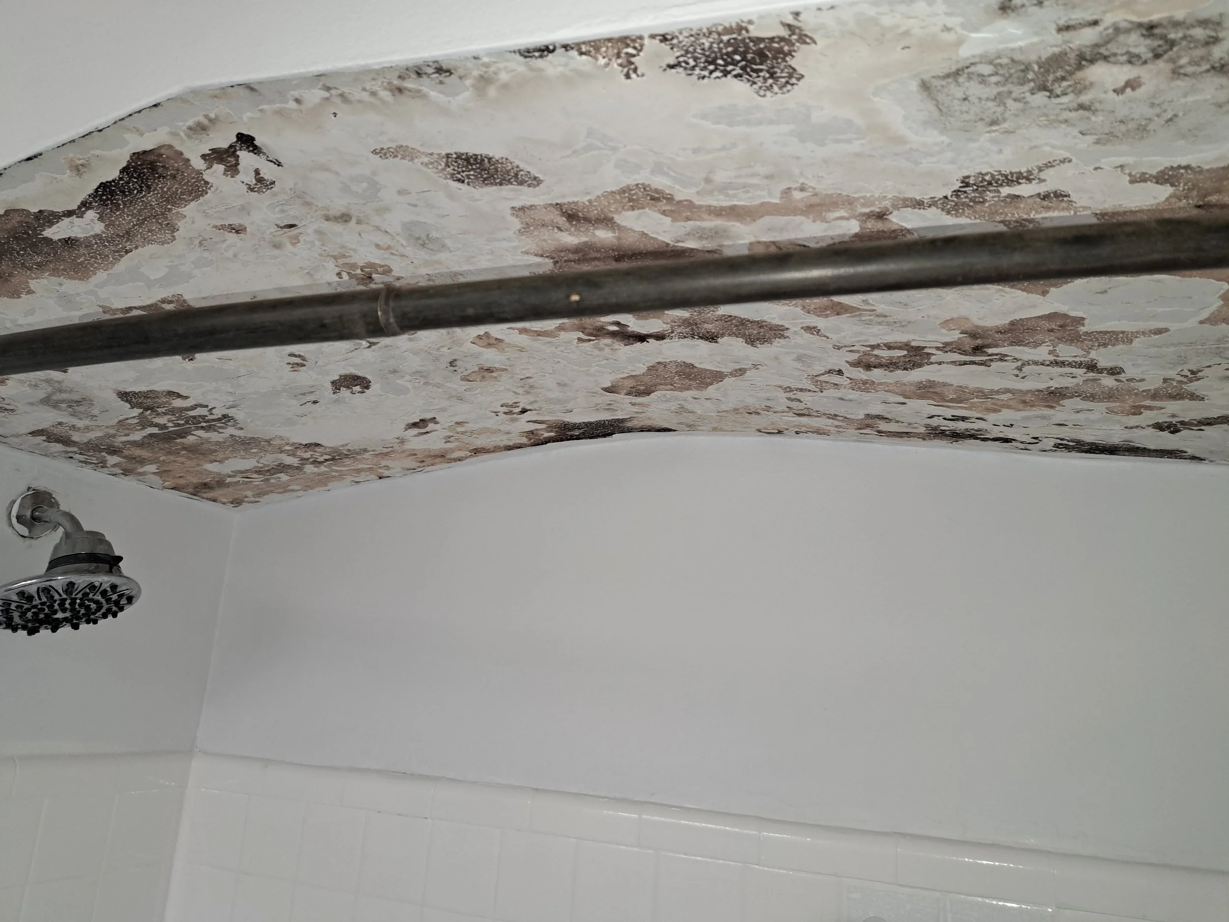 water damage Farmington hills michigan