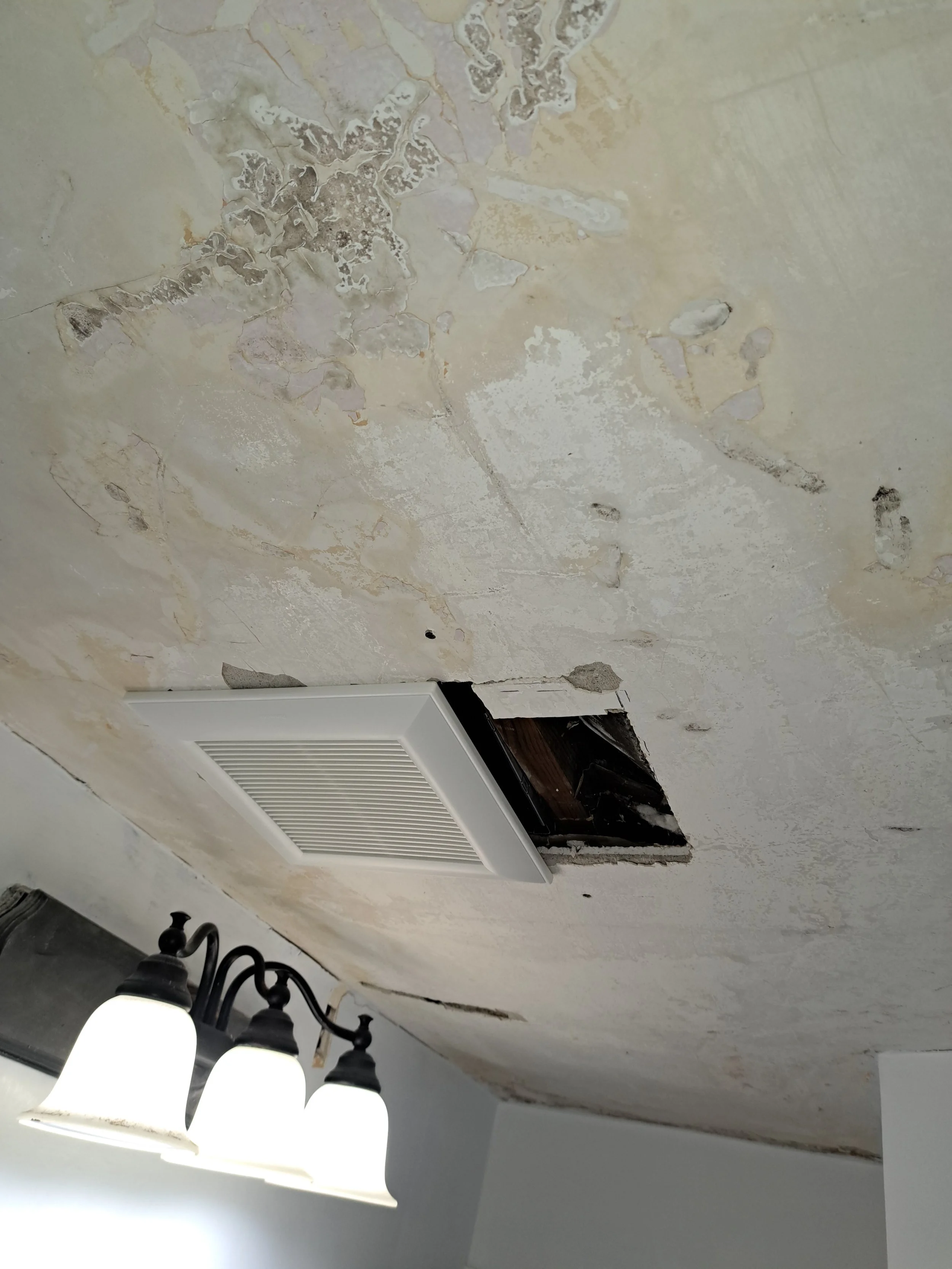 Plaster Repair