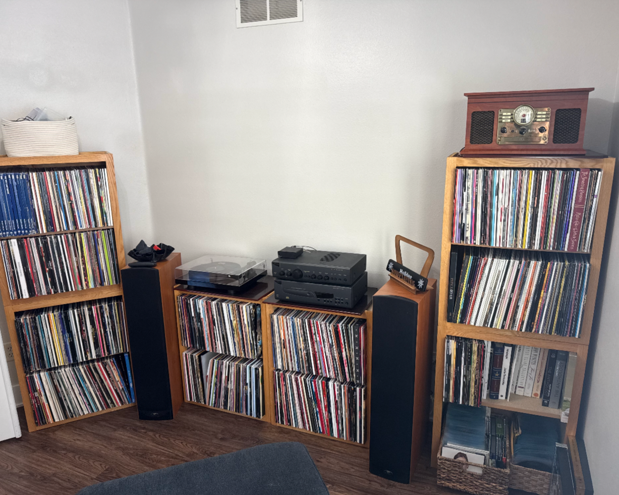 Custom Built In Shelving