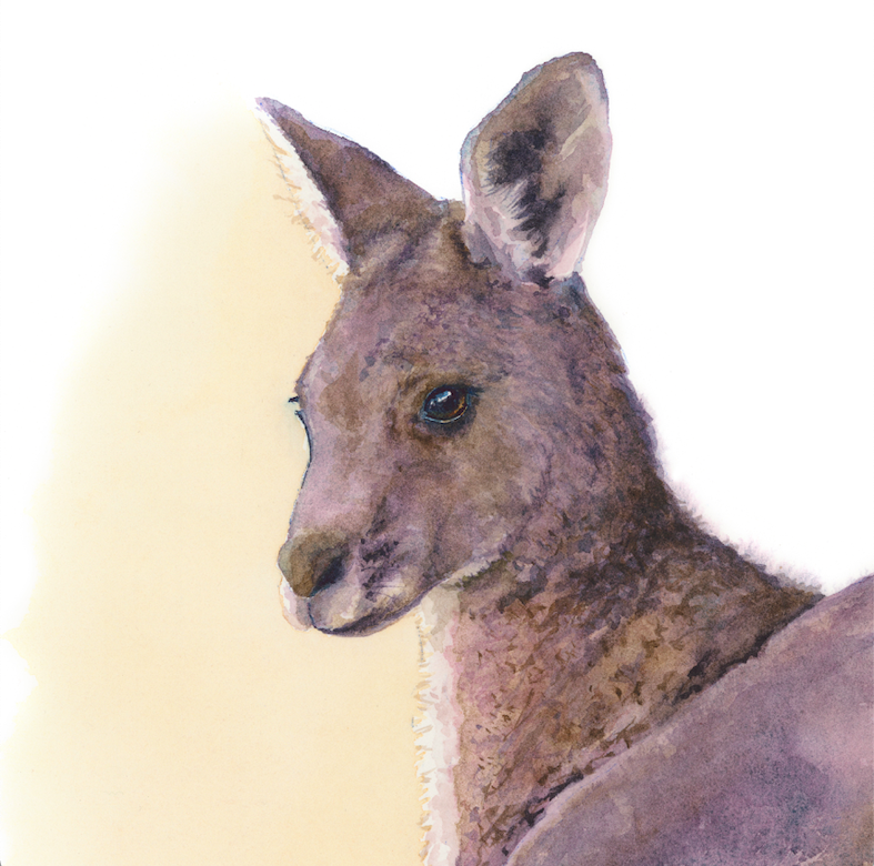 Dreams Can Come True