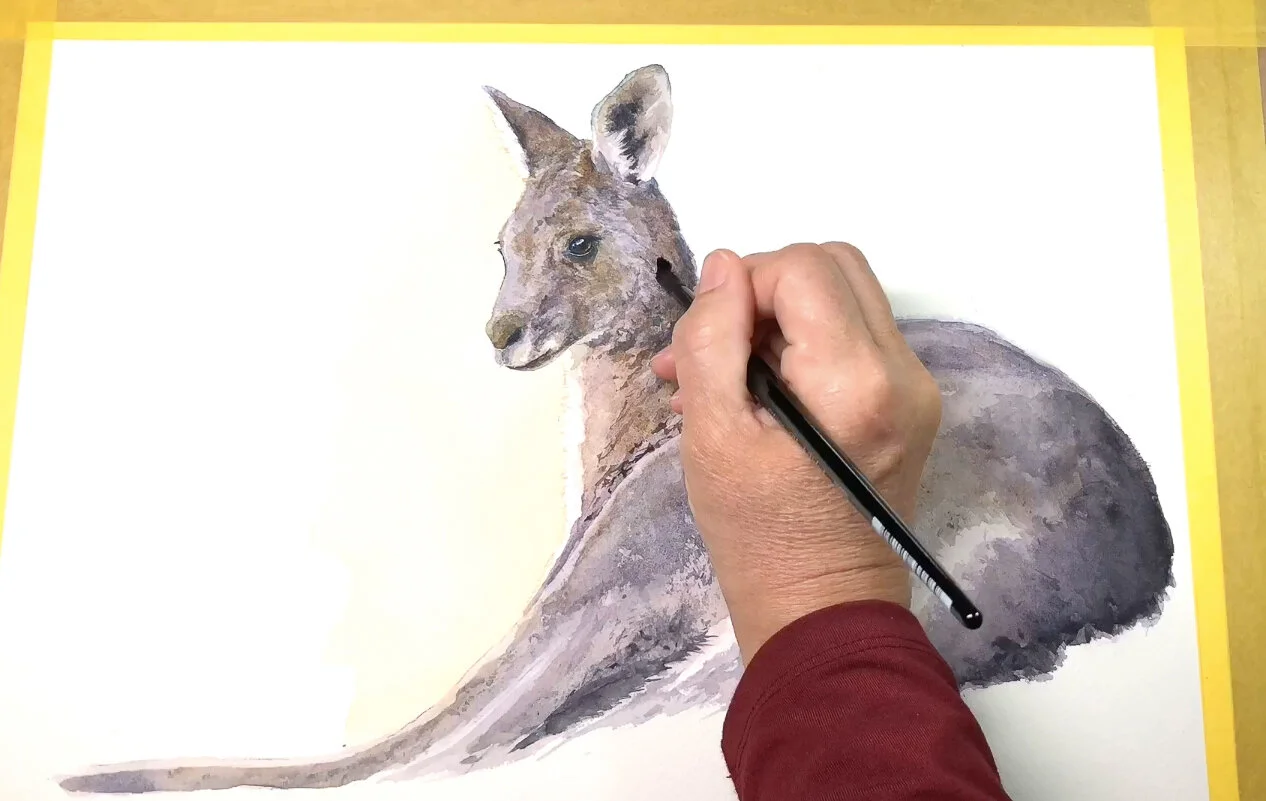 “Sunset Millie” My first time-lapse