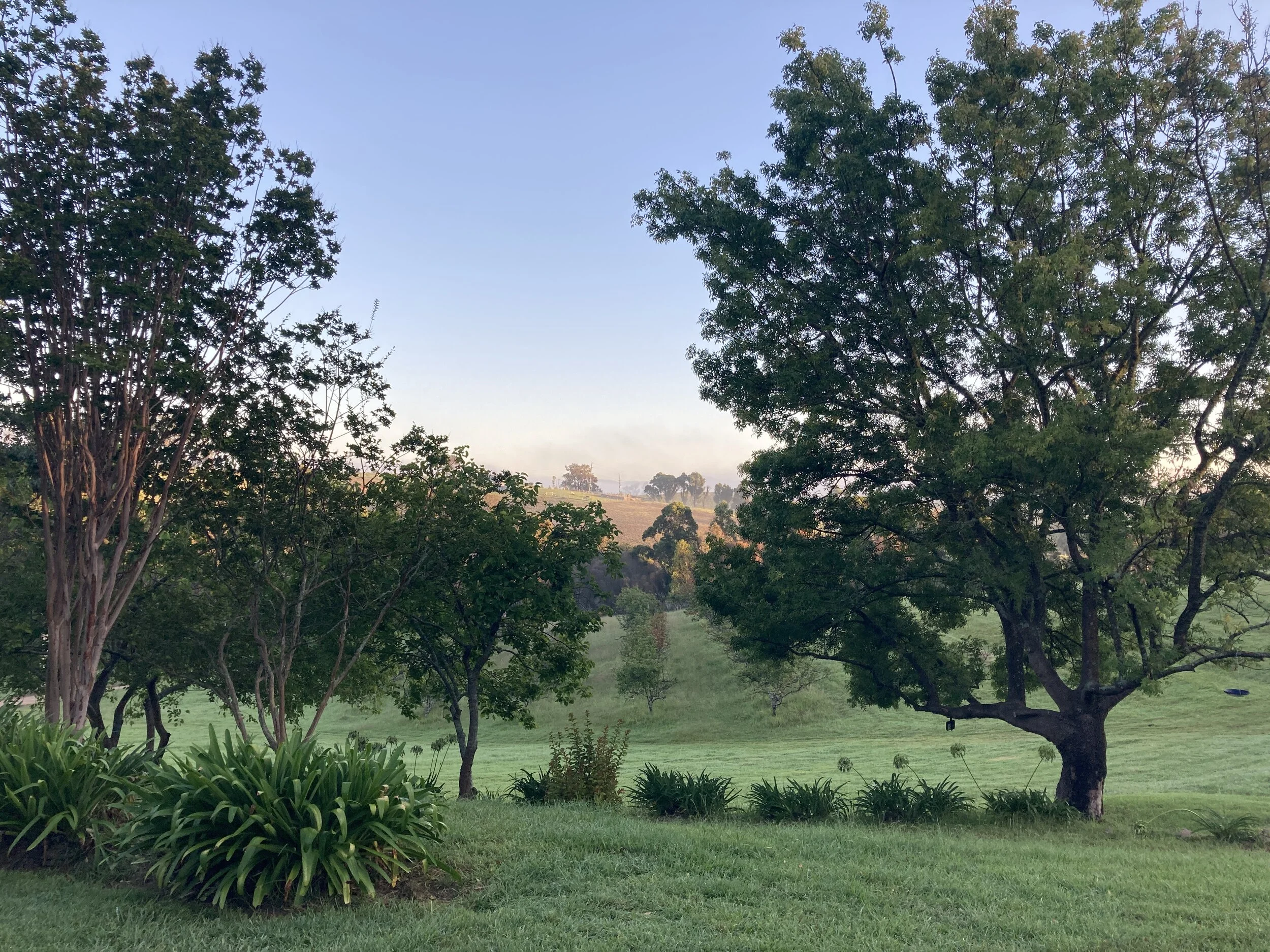 Screen Shot 2021-05-31 at 9.46.35 PM.png