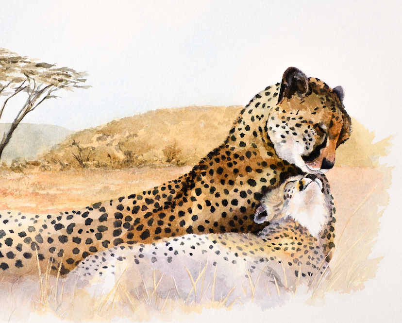 The “Mother’s Love” Collection