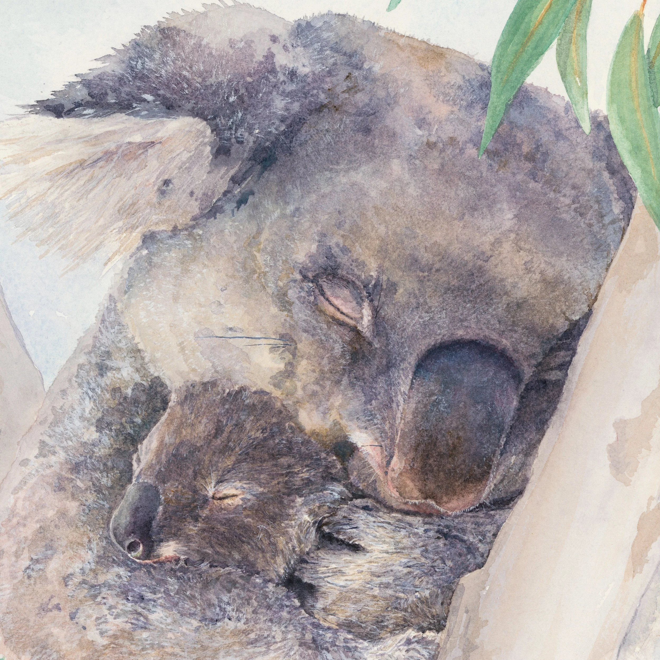 About “Tenderness”