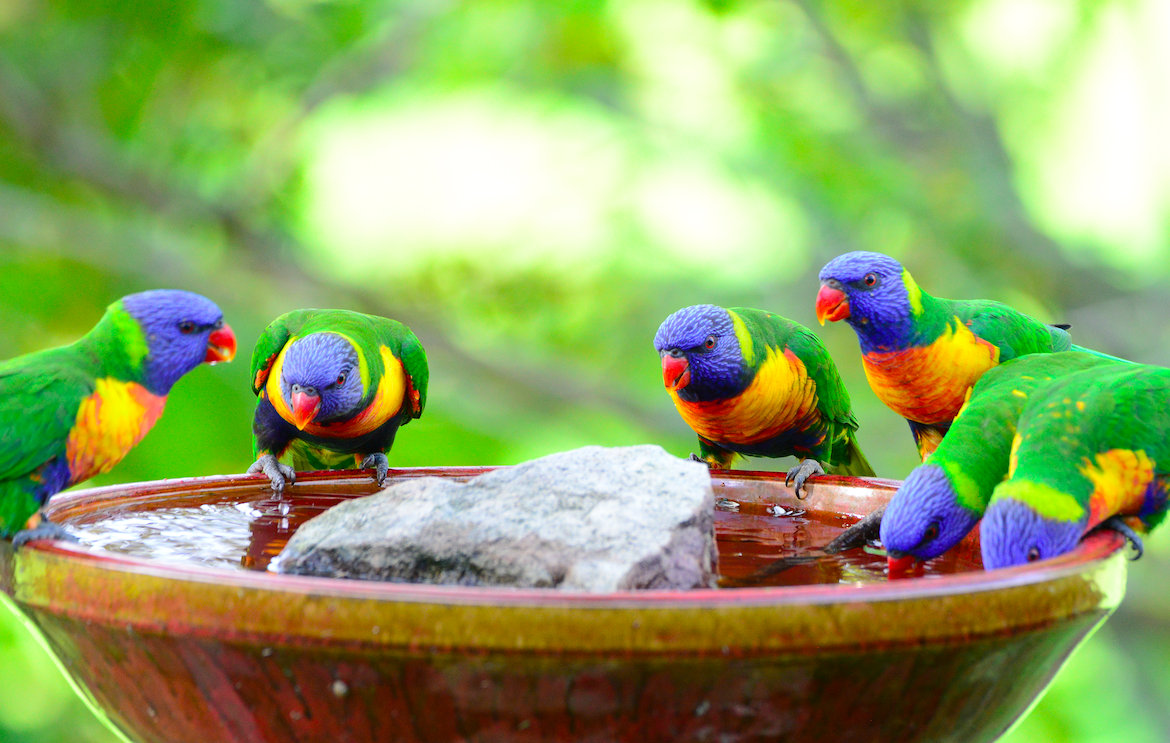 Screen Shot 2021-06-13 at 11.39.49 PM.png