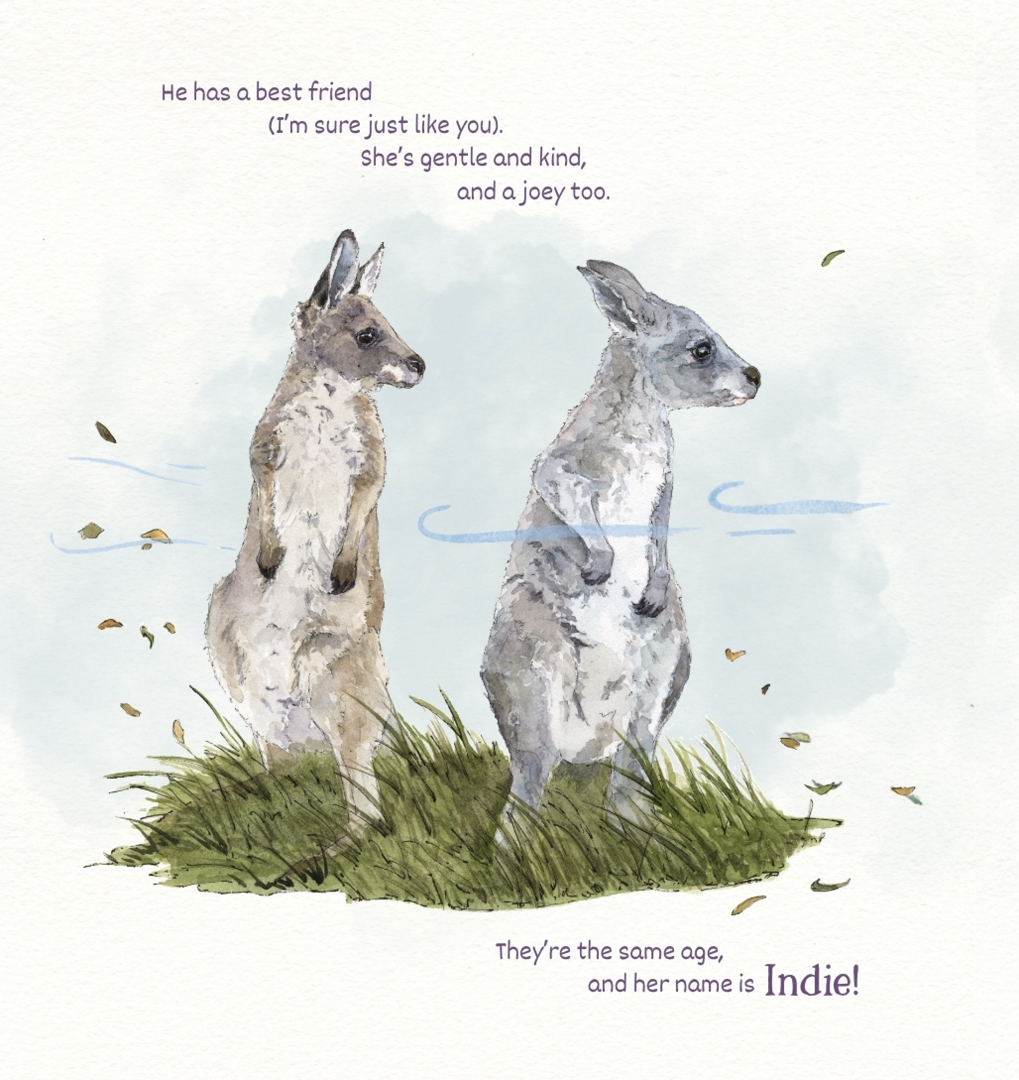 Kangaroos Have Friends!