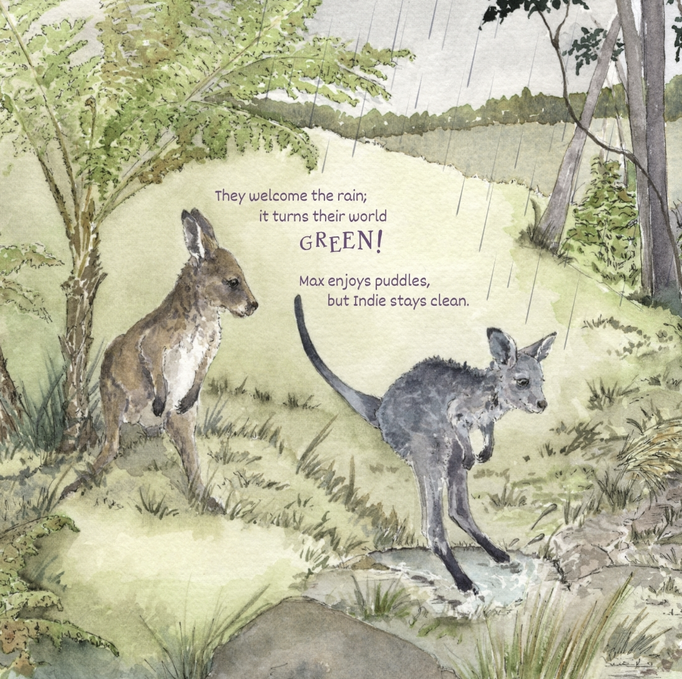 Every Roo Has Their Own Personality