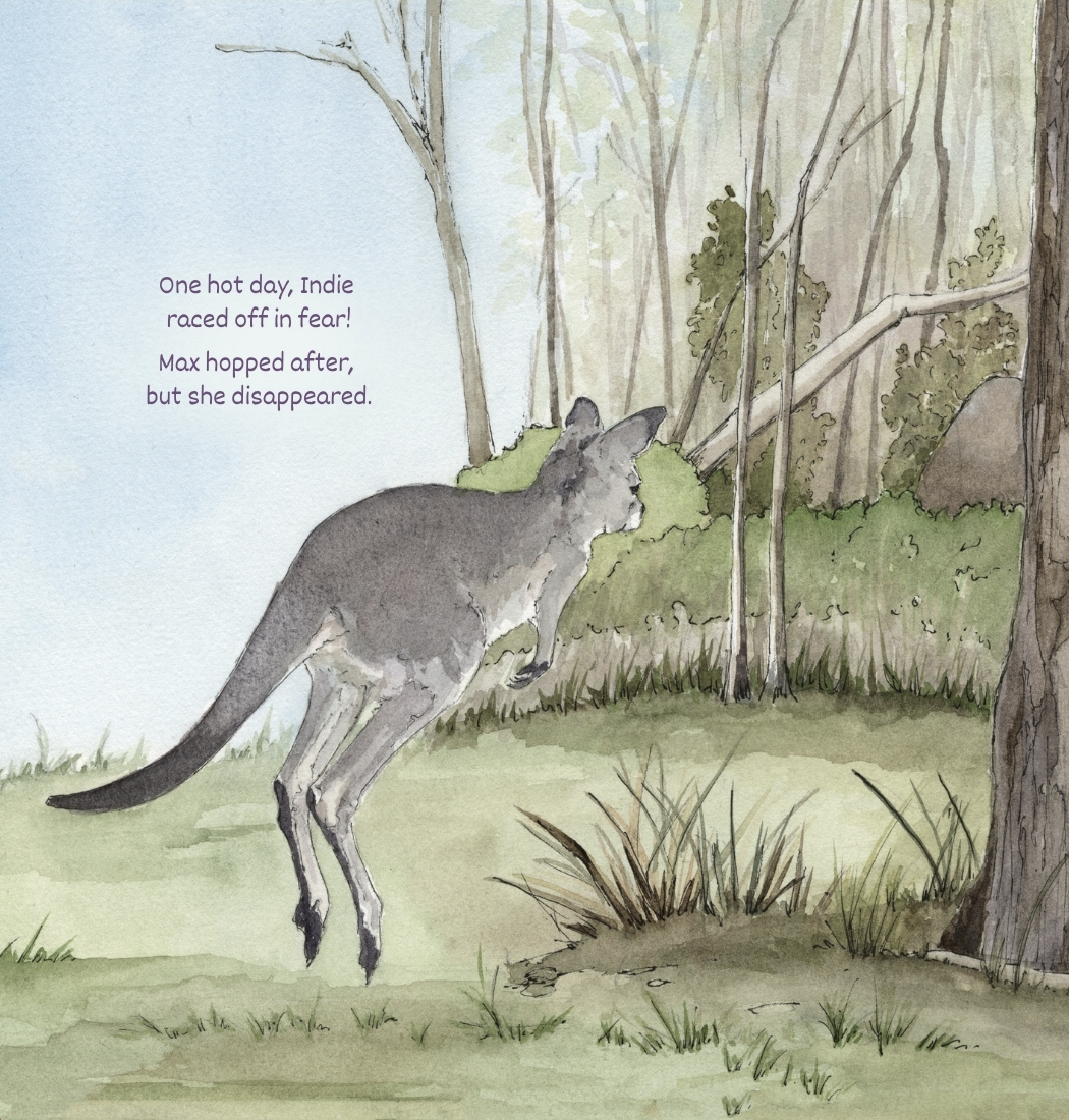 Kangaroos Get Scared Too!