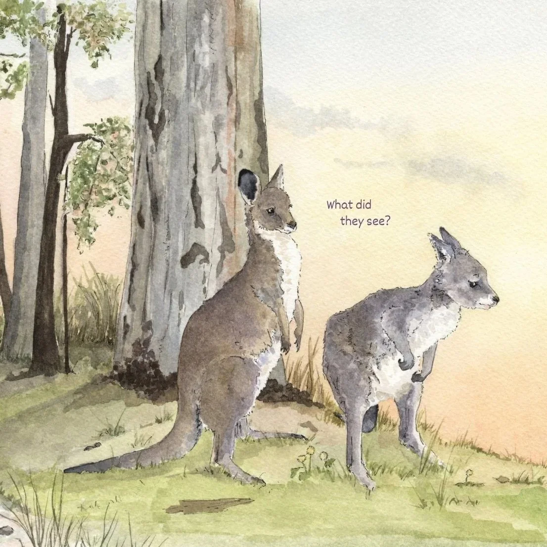 Kangaroos Keep Track Of Each Other!