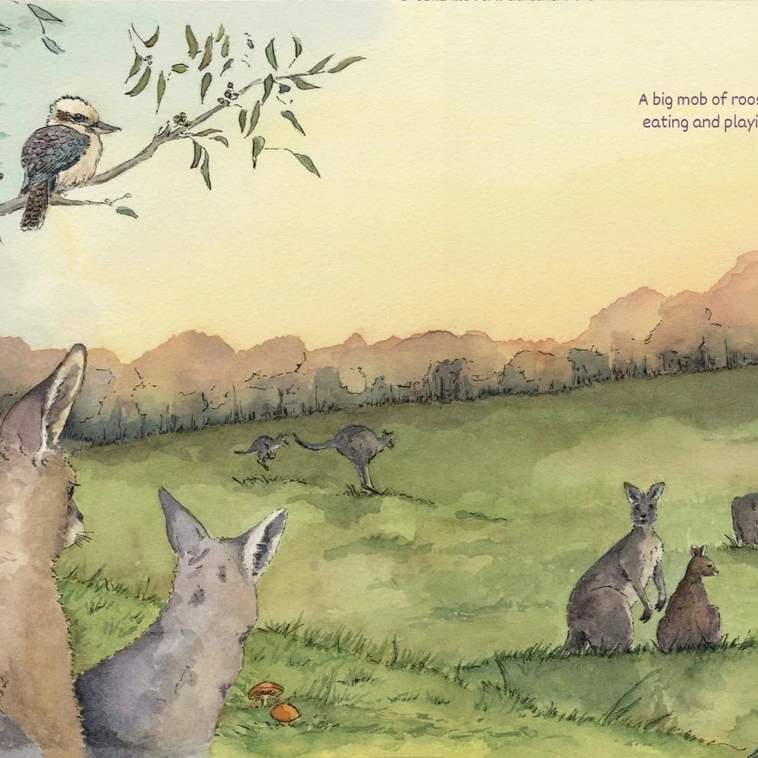 Kangaroos Have Families