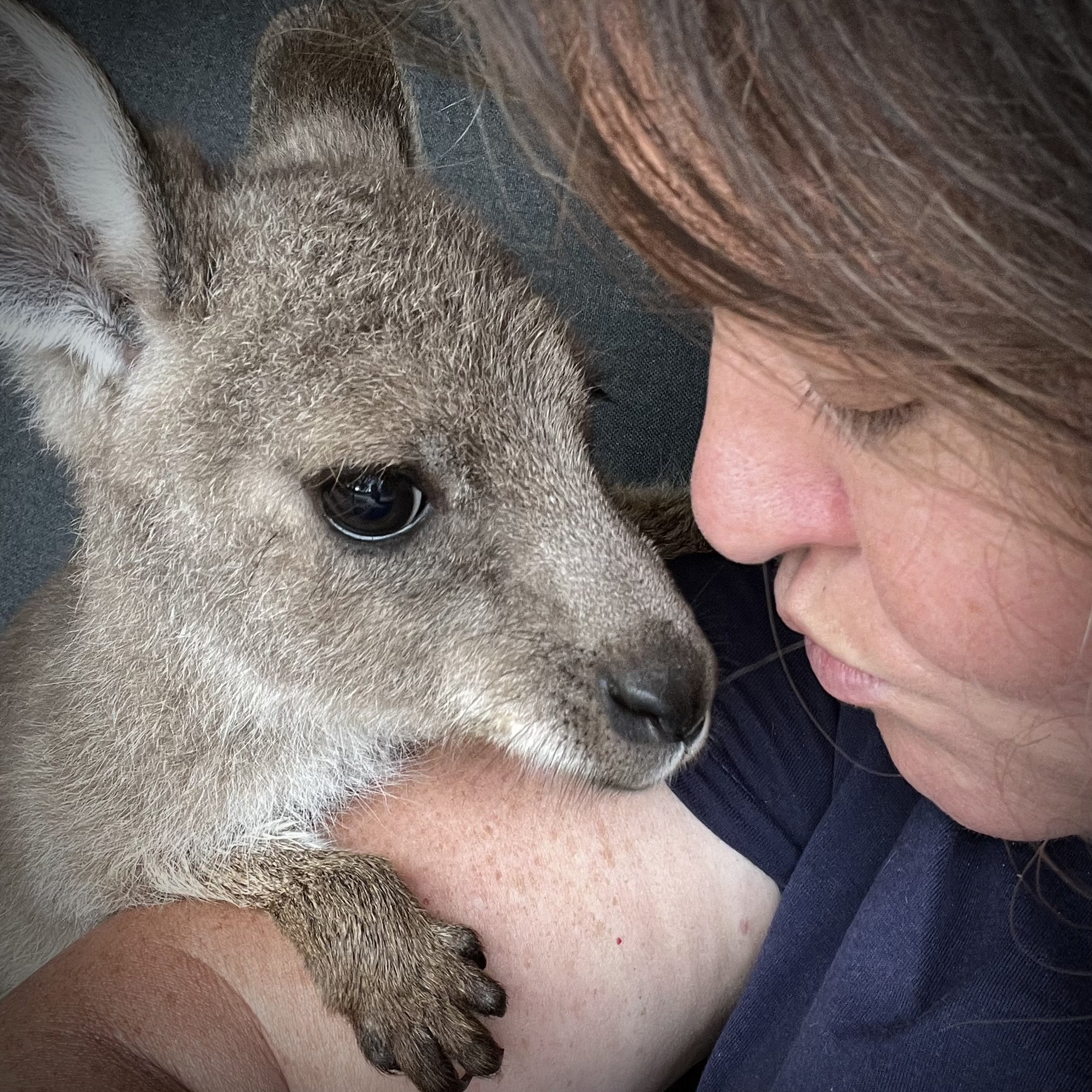 Miss Indie Roo and Kelly.jpeg