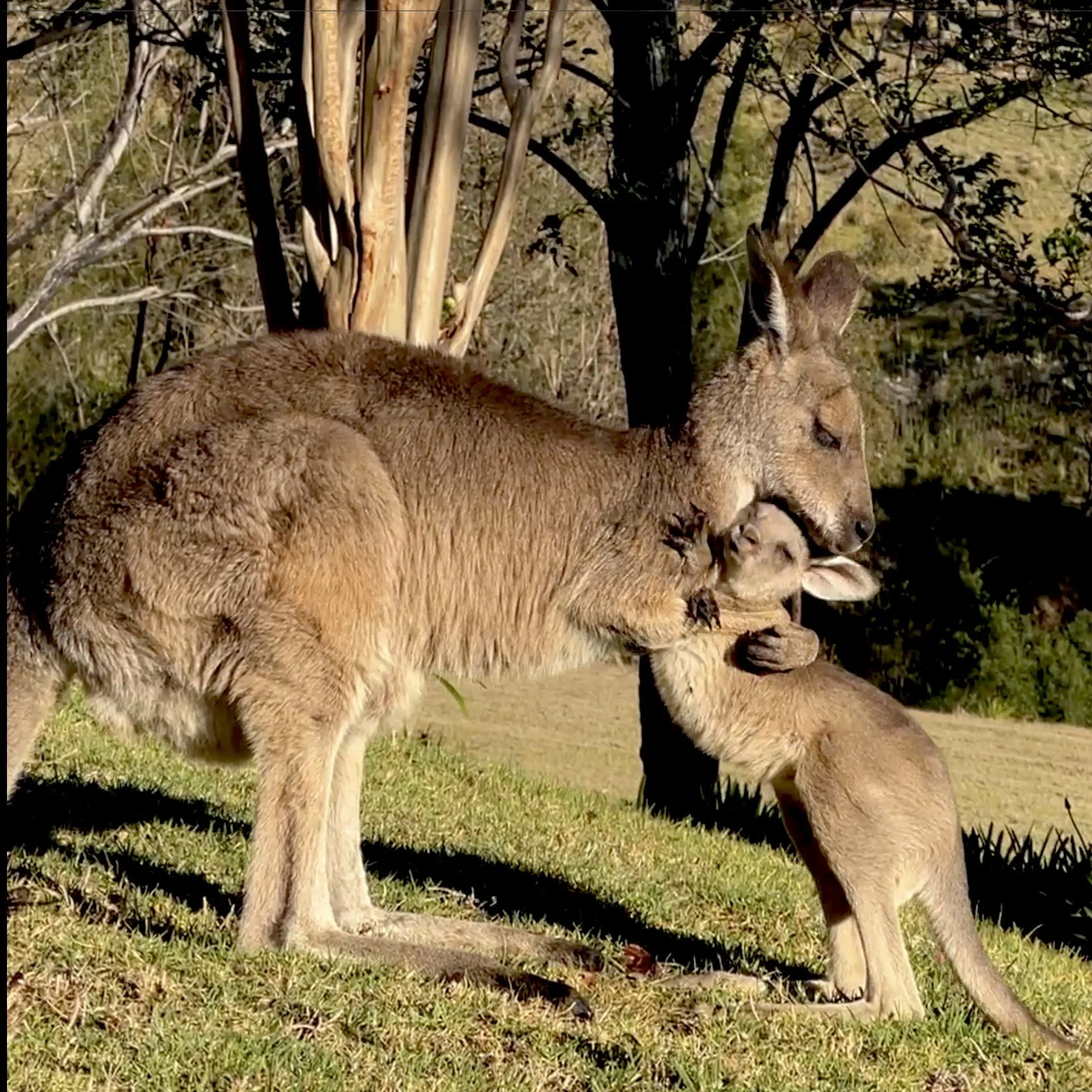 So much LOVE!