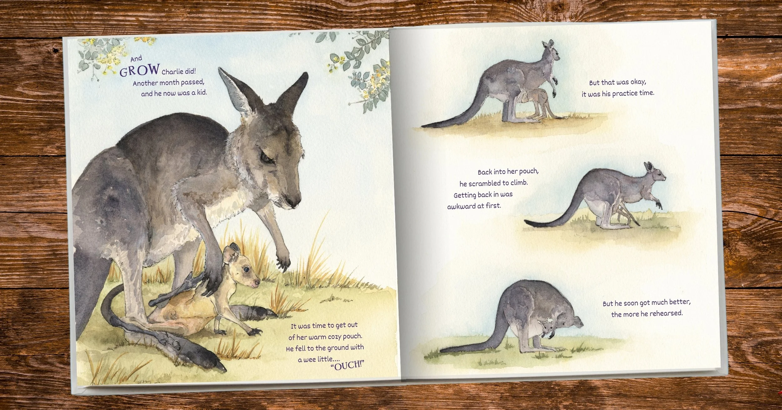 Childrens book Image baby kangaroo - Kelly Ryner