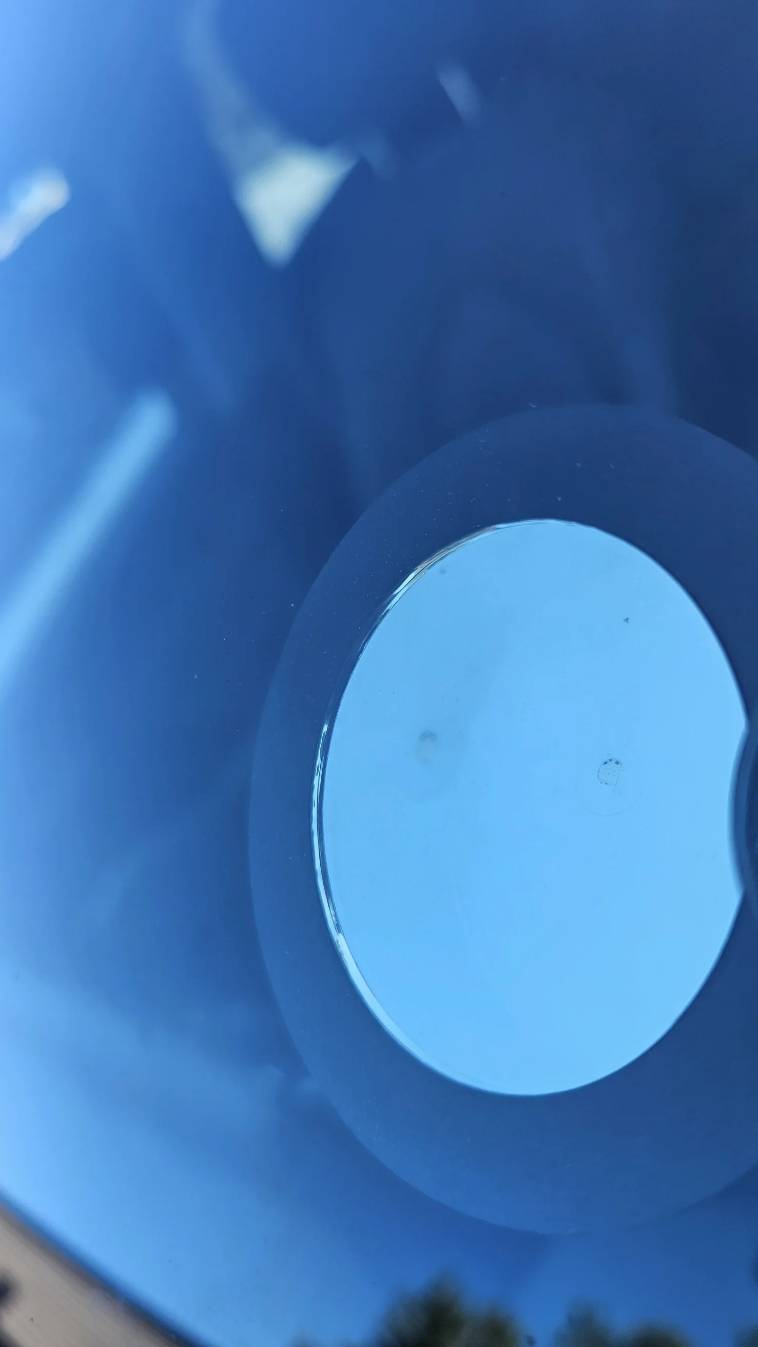 A photo taken from inside a blue recycling bin, showing the bottom with a circular opening to the sky.