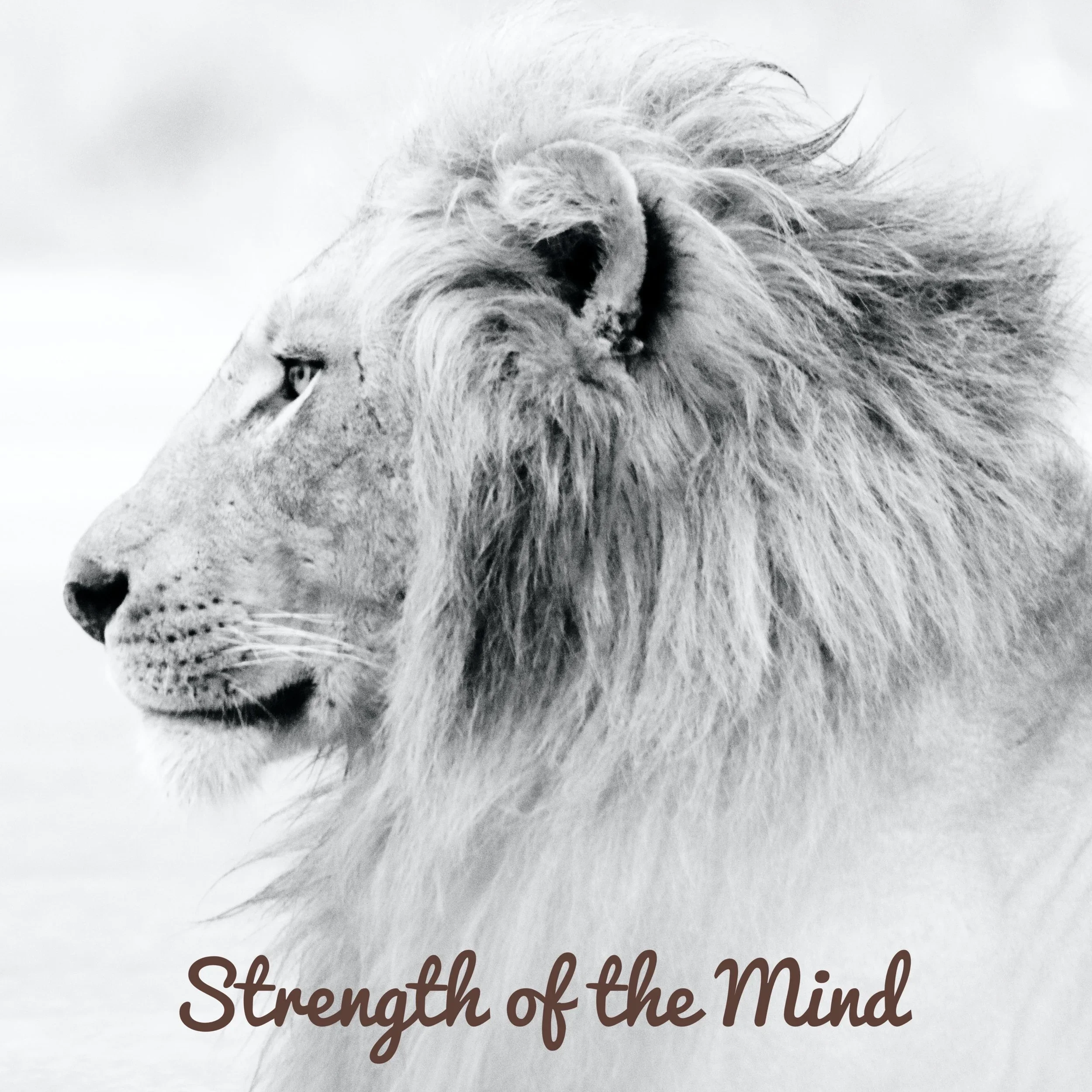 Guided Practice in Mindful Breathing