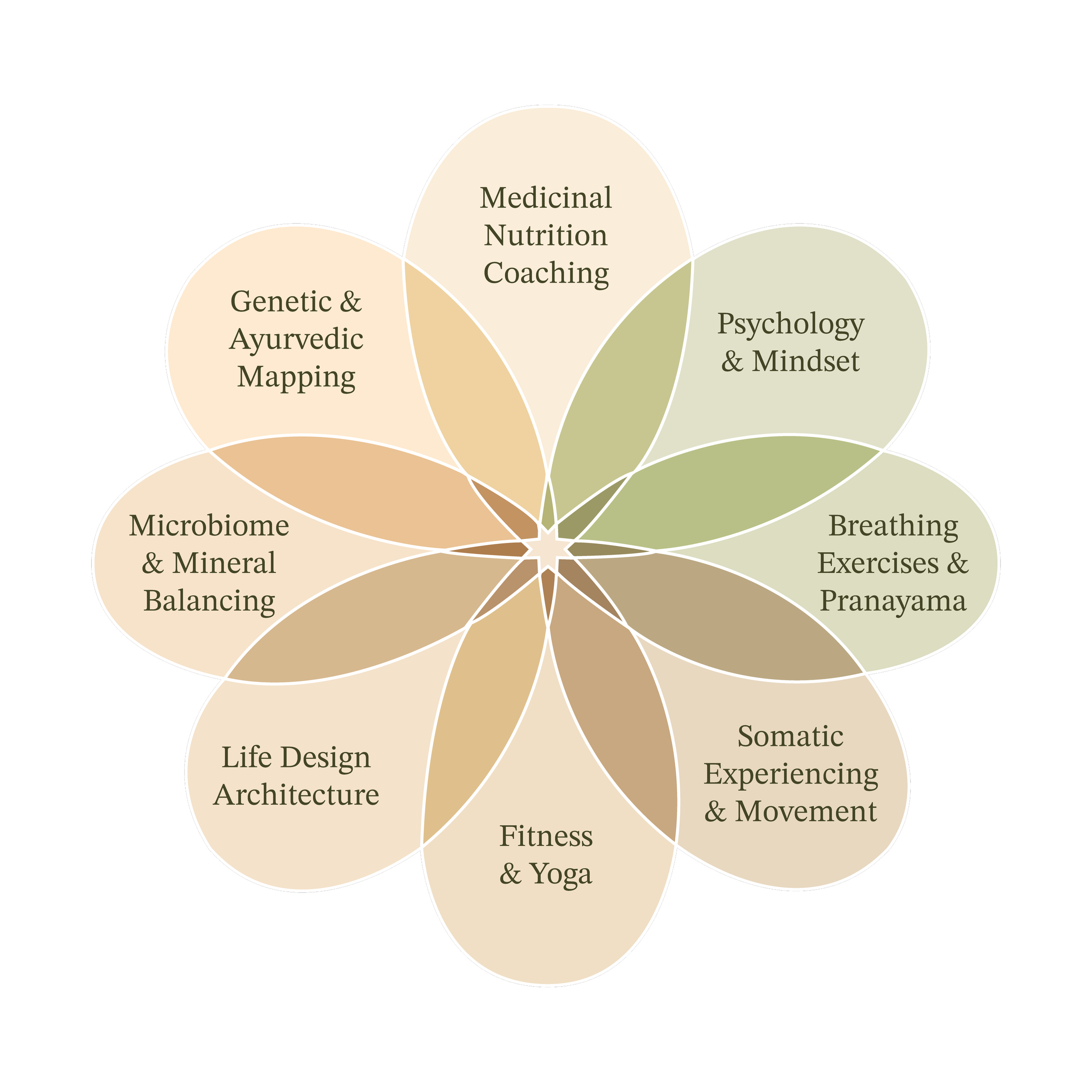 A colorful diagram illustrating various aspects of holistic health and wellness, including areas such as genetic and Ayurvedic mapping, microbiome and mineral balancing, medicinal nutrition coaching, psychology and mindset, breathing exercises and pranayama, and fitness and yoga, connected through overlapping sections.