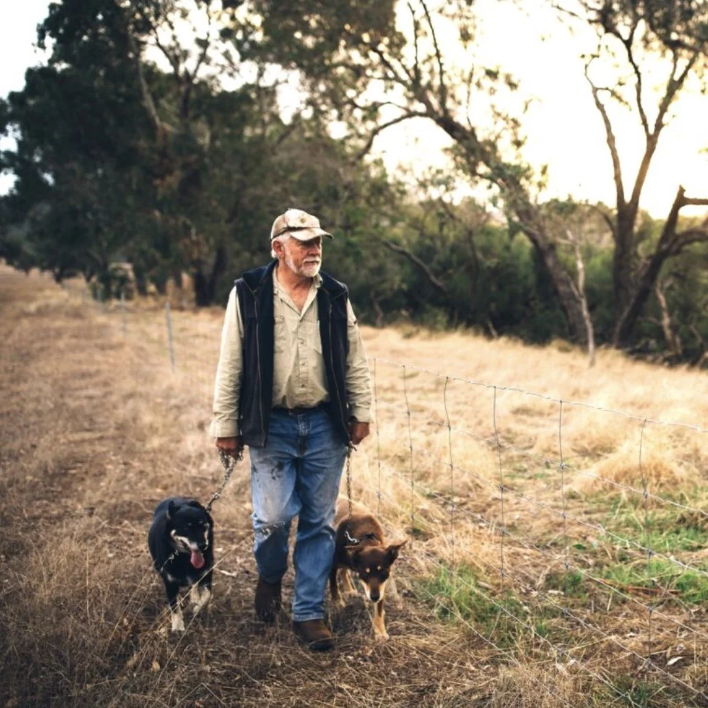 An older man walking on a dirt trail in a rural area with two dogs, one black and one brown, during sunset or early evening.